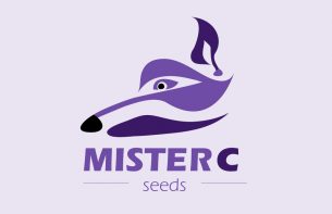 Mister C Logo
