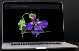 A laptop displaying the PhotoGraphica Krohn website